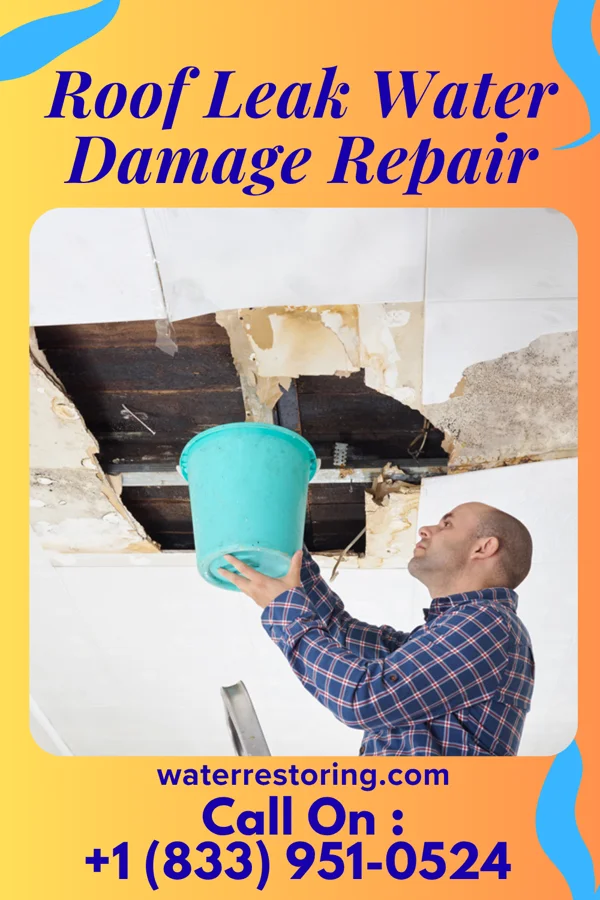 Roof Leak Water Damage Repair in Fostoria, IA