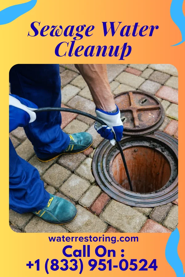 Sewage Water Cleanup in Fostoria, IA